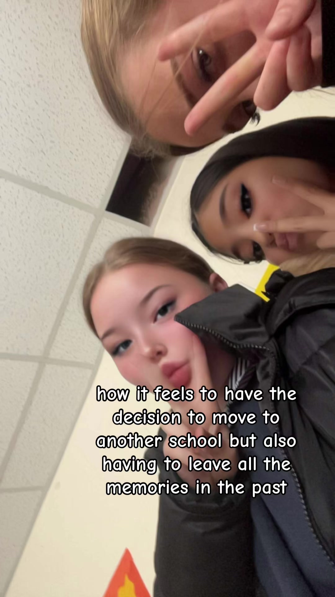 @bella handley