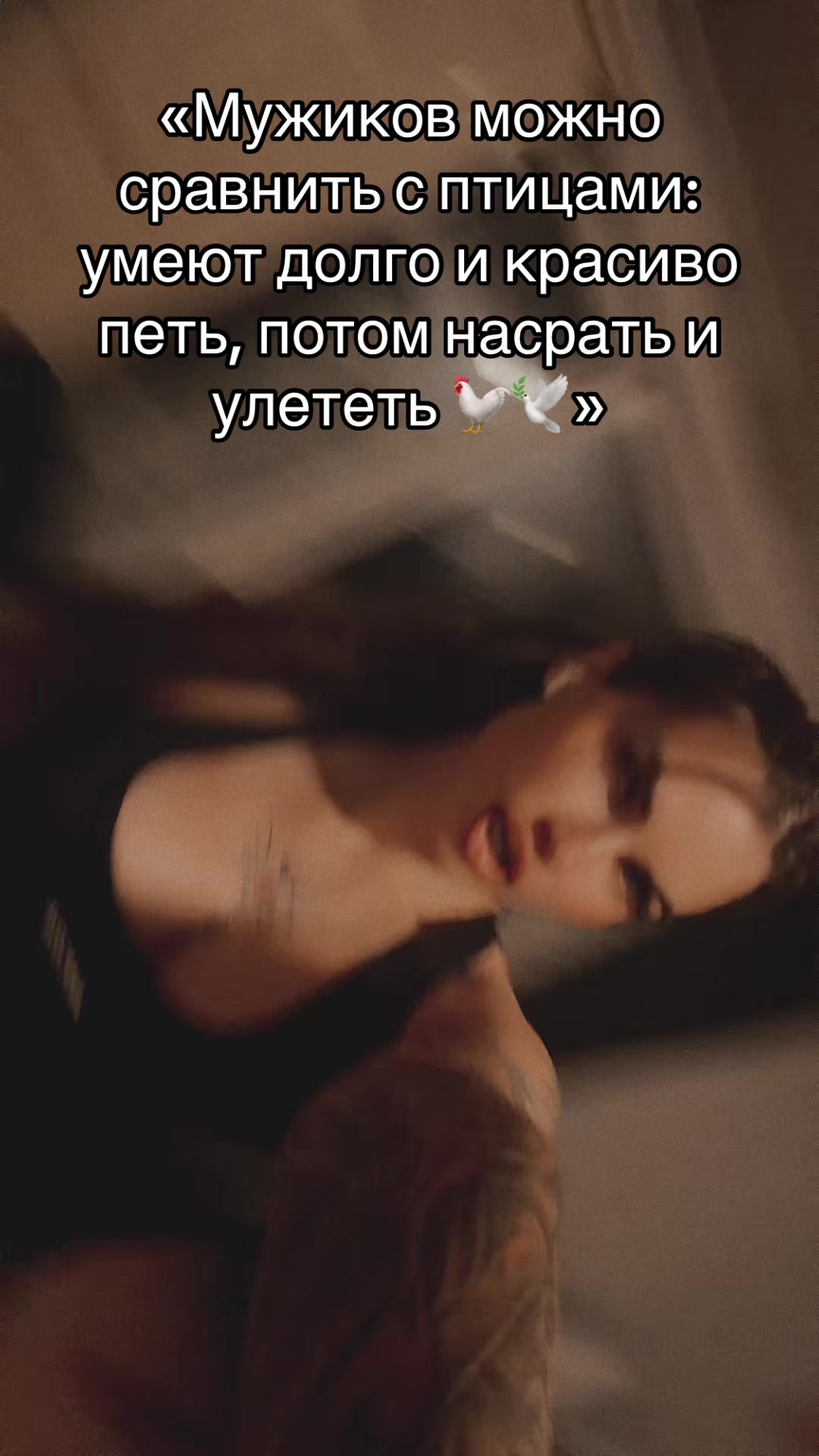 @Kissa