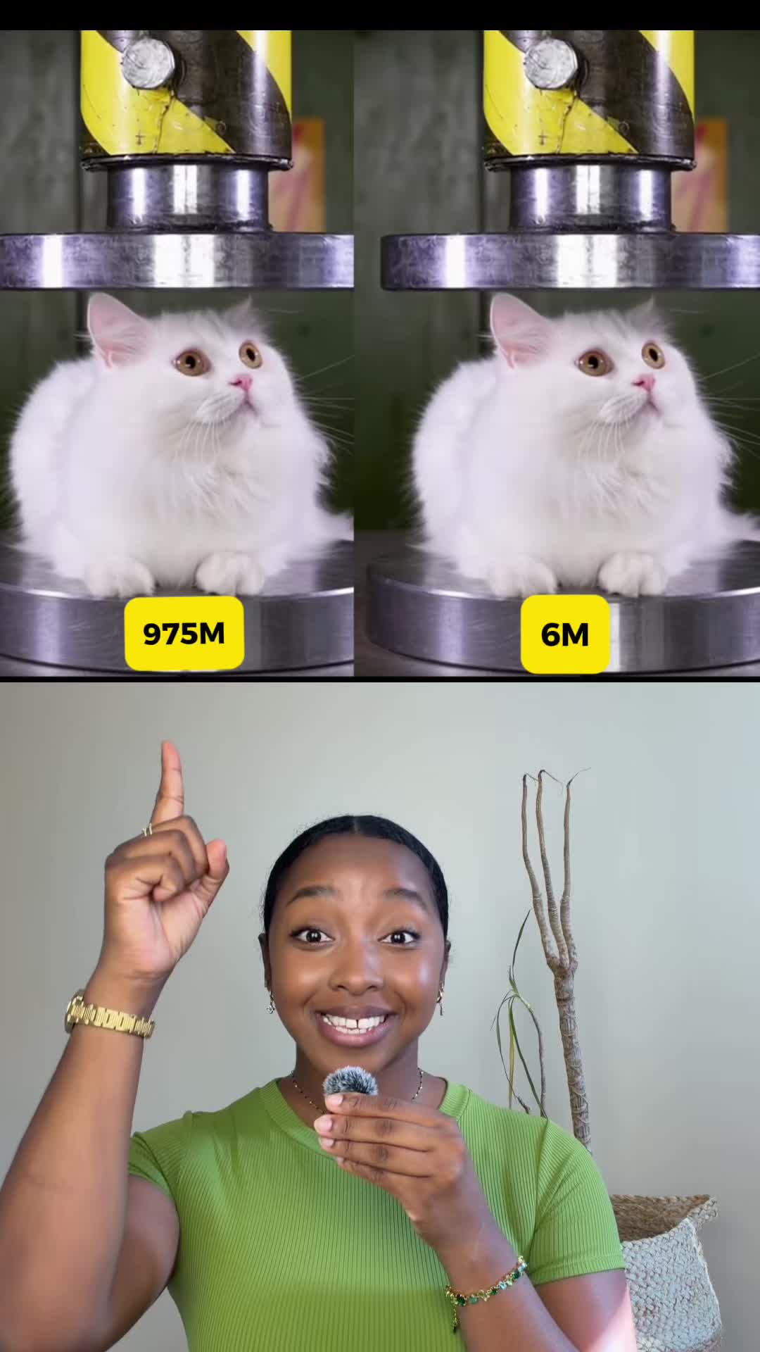 @naissviral