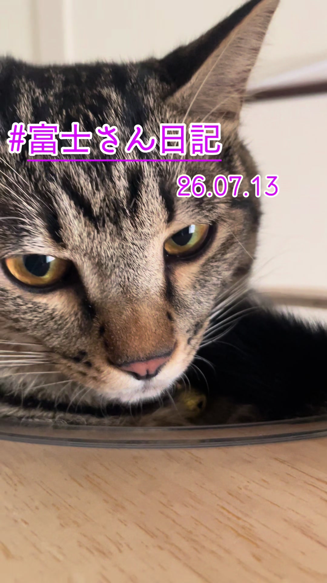 @ガッツ