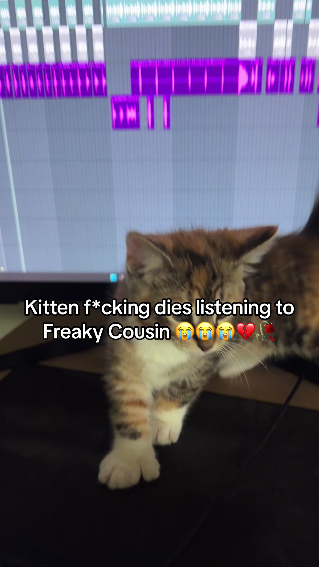 @FreakyAhCousin