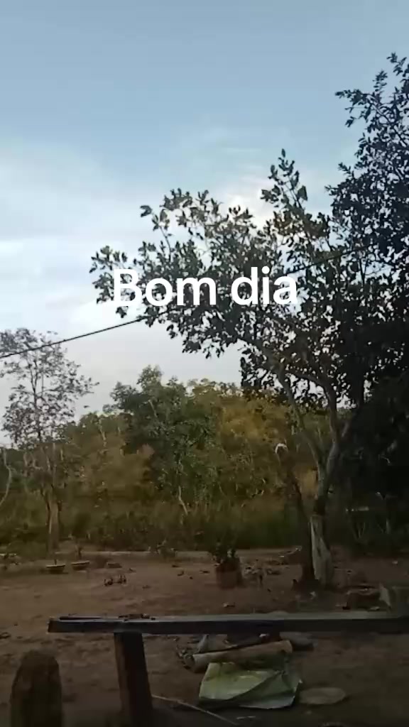 @lenna