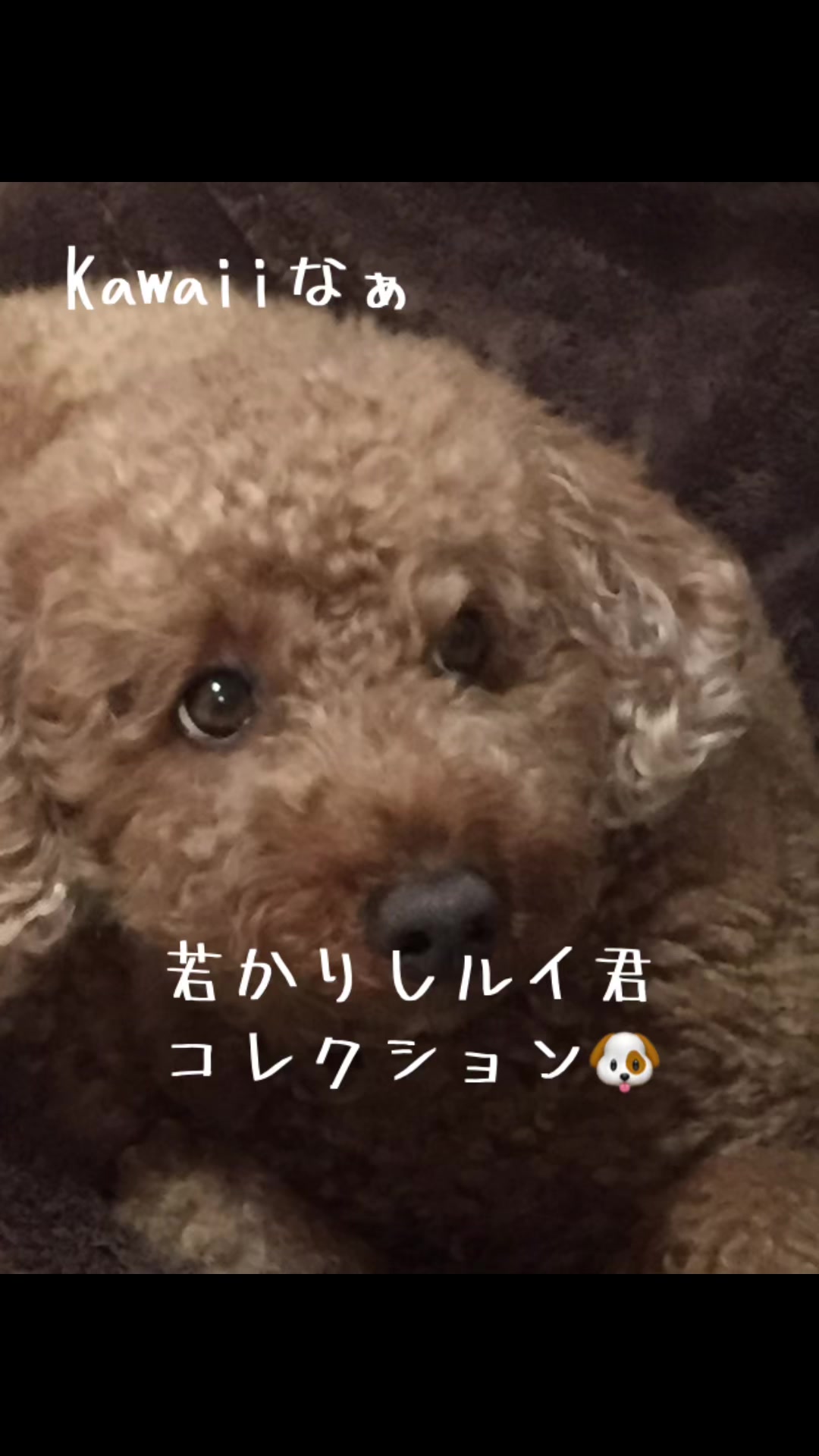 @ルイママ