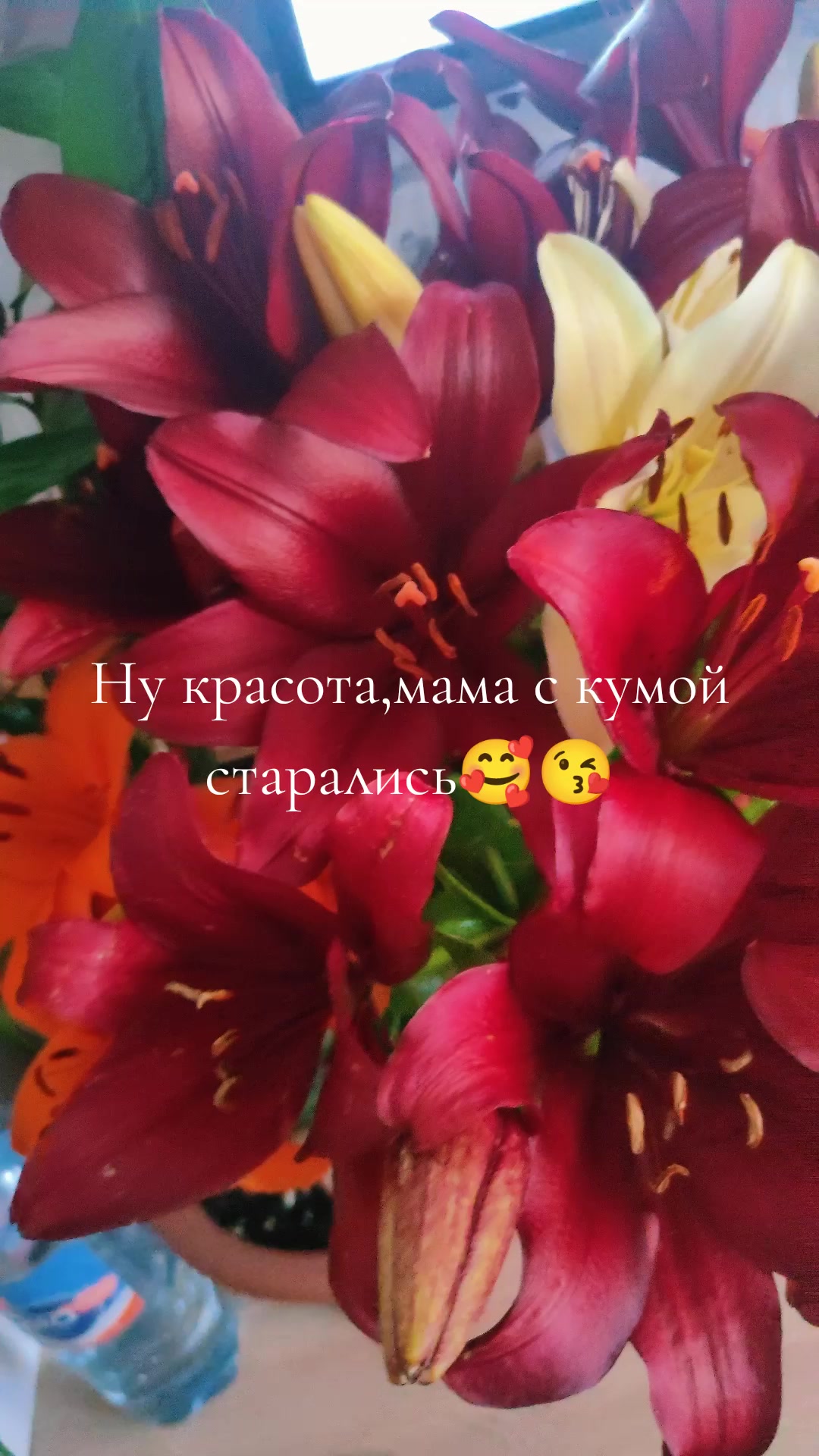 @Надежда Урбанович