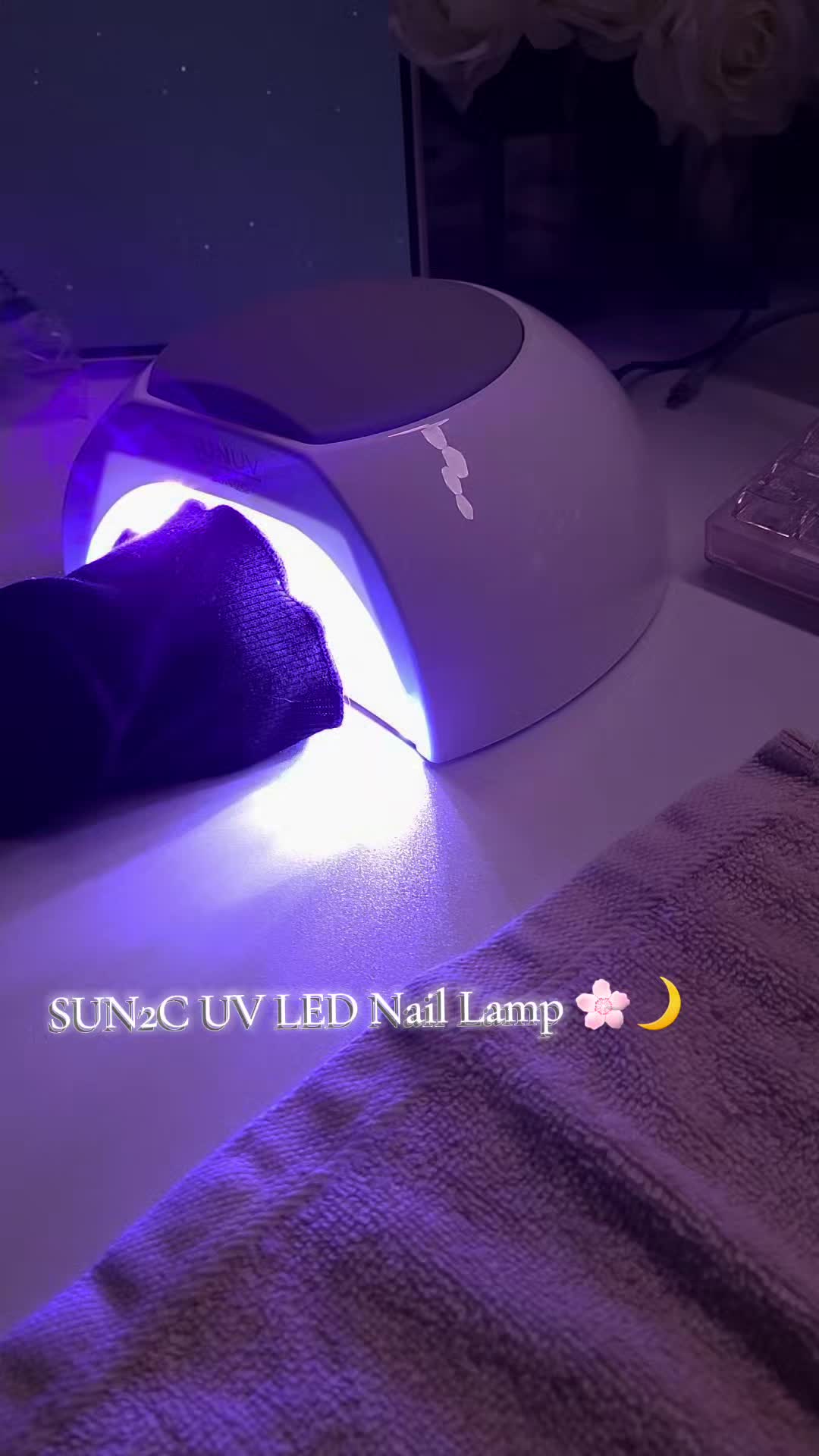 @ItsRosePugs