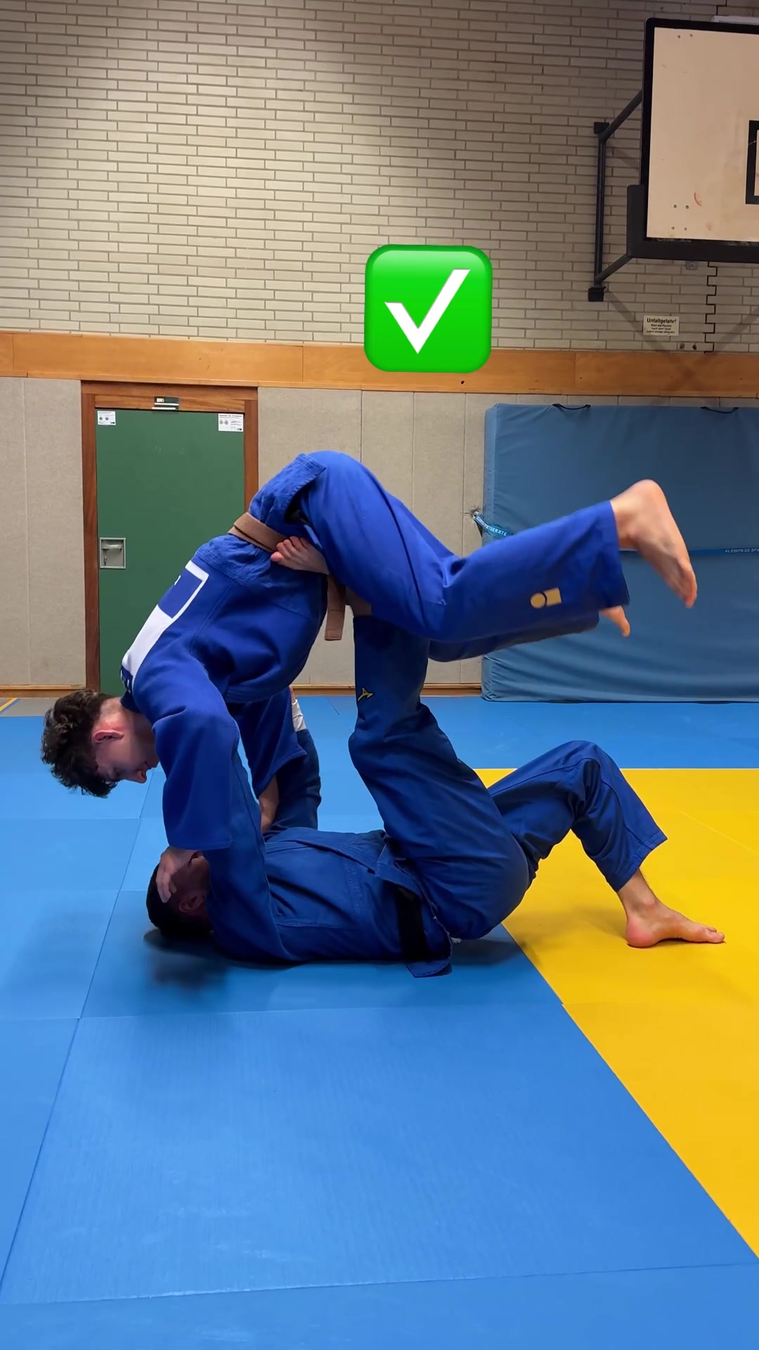 @Cyber-Judoka