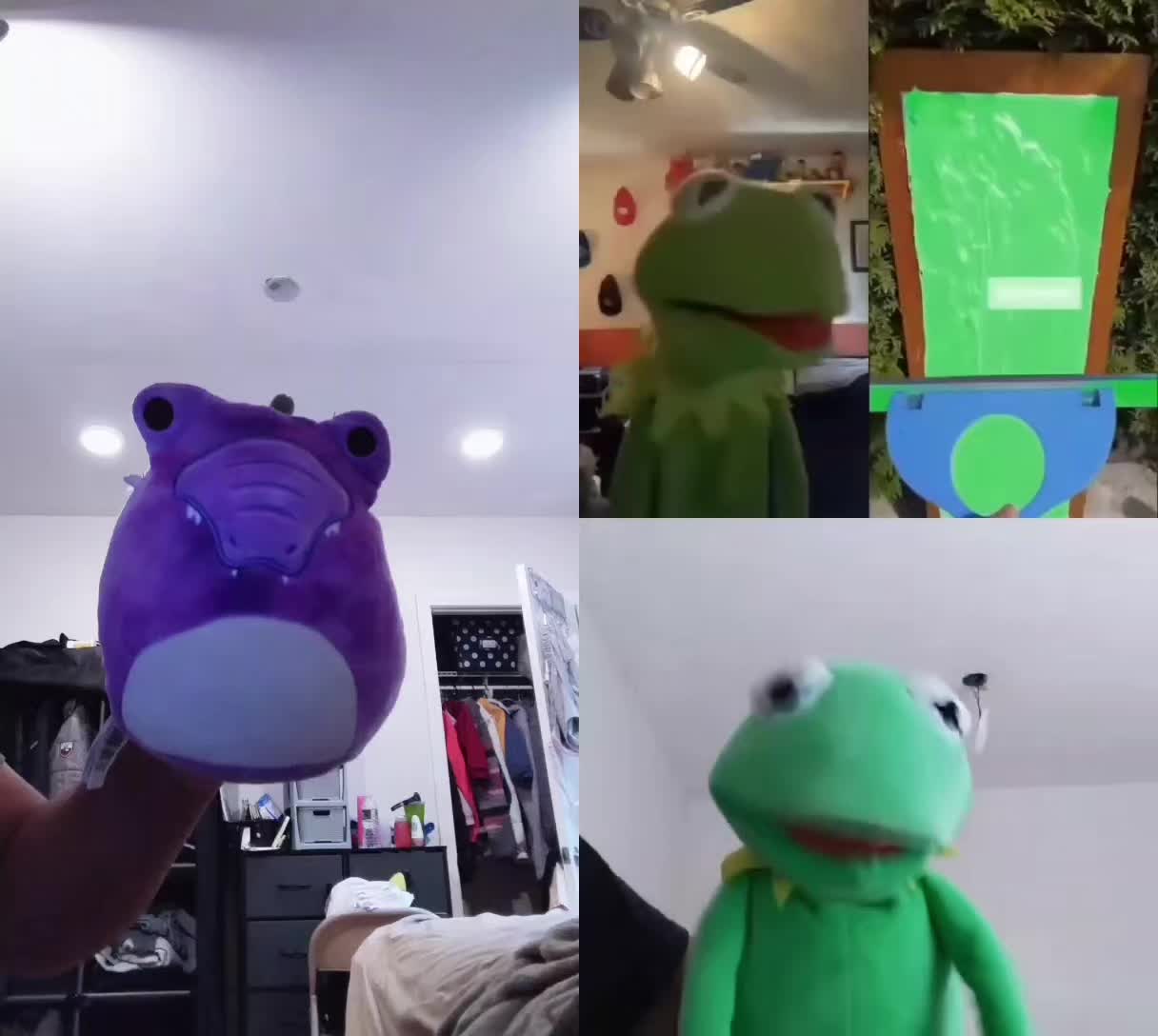 @Kermit The Frog Tiktok