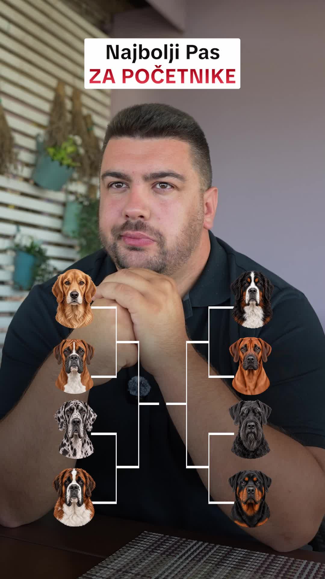 @superdog.akademija