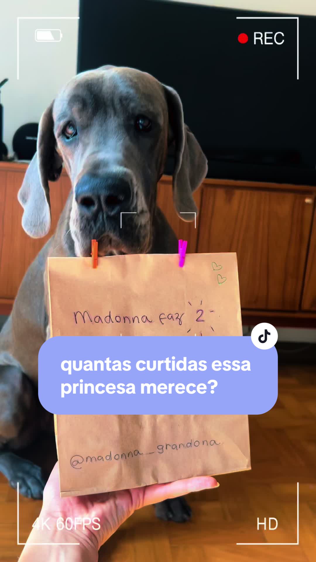 @madonna_grandona