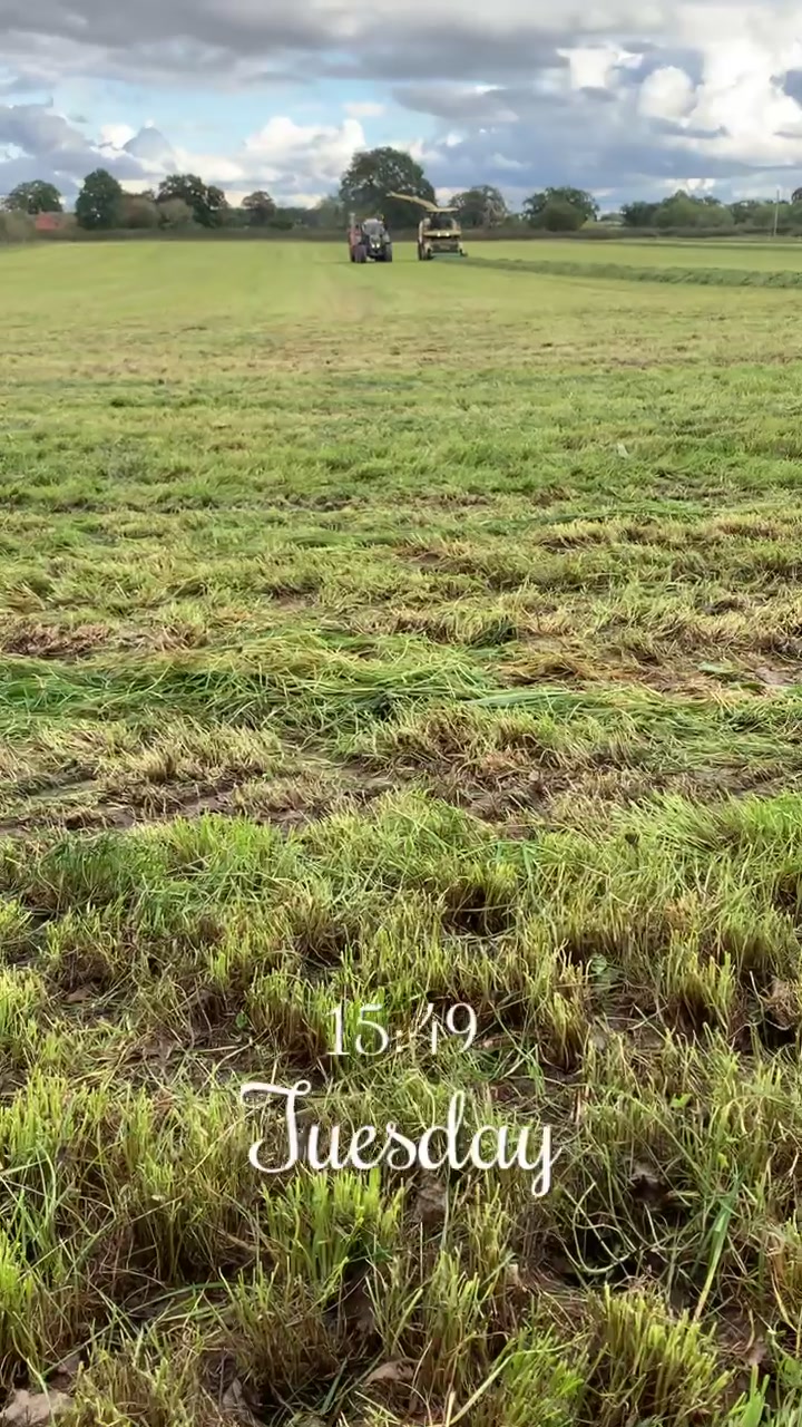 @Farmer Adam