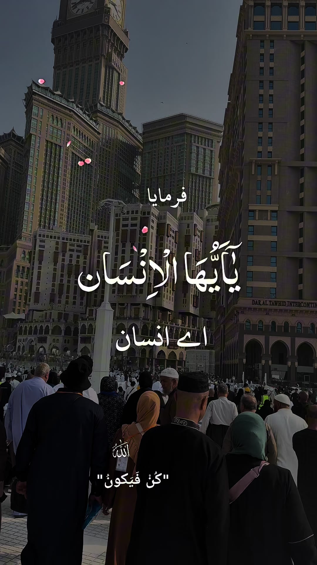 @Shakeel Zain ahmed