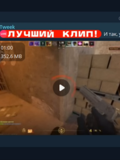 @user259661388