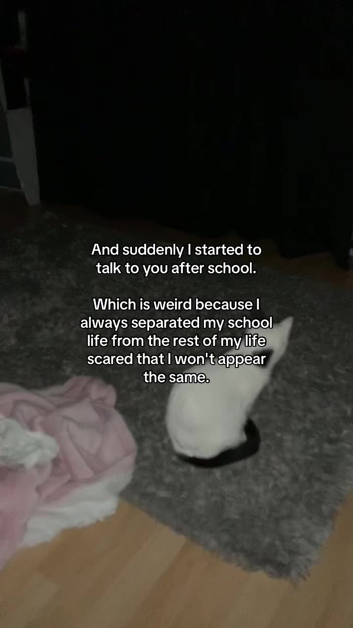 @Owl
