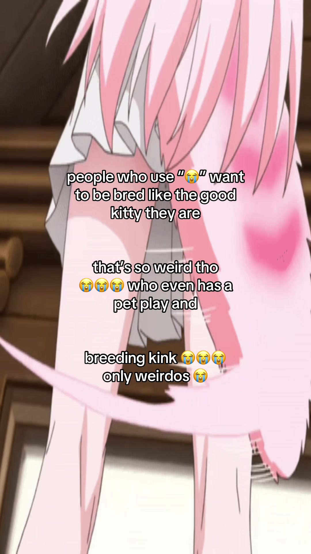 @kitty