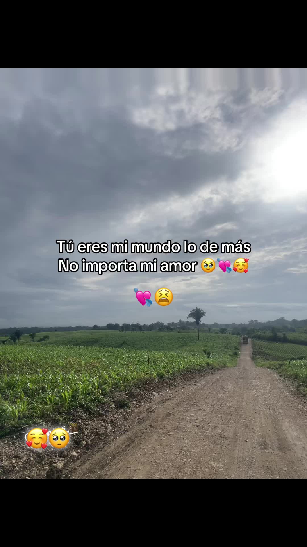 @𝓔𝓵𝔂.➳💔︎︎👤
