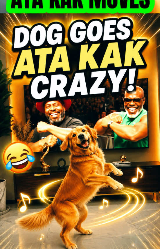 @paxomedy