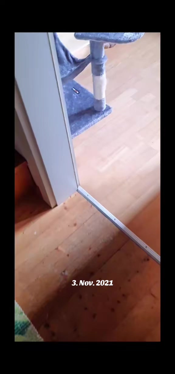 @MaUzL =^..^=