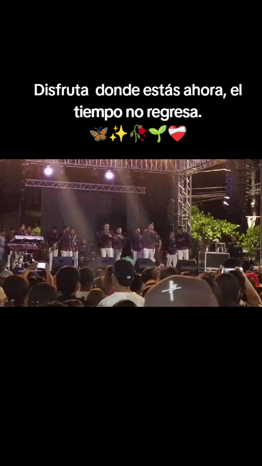 @luciana mendoza