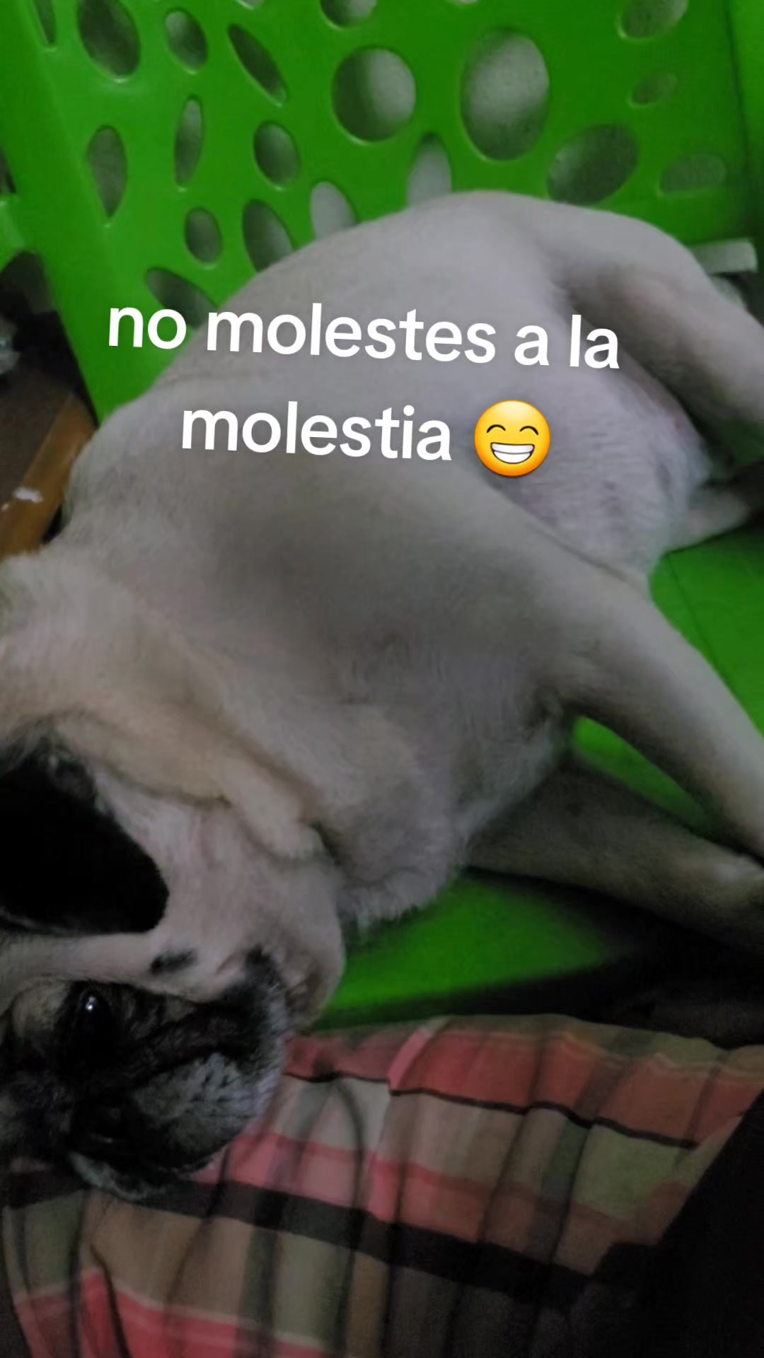 @Carmen Alvarado