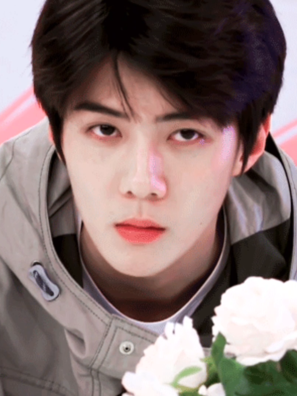@sehunglazer☽̶☾