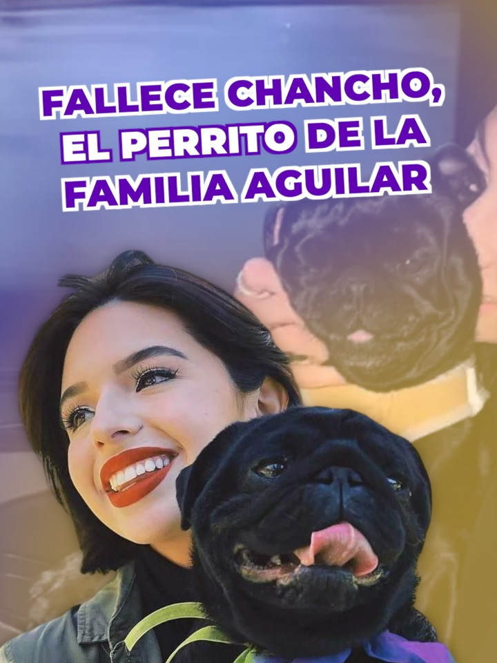 @Caf&eacute;Globo