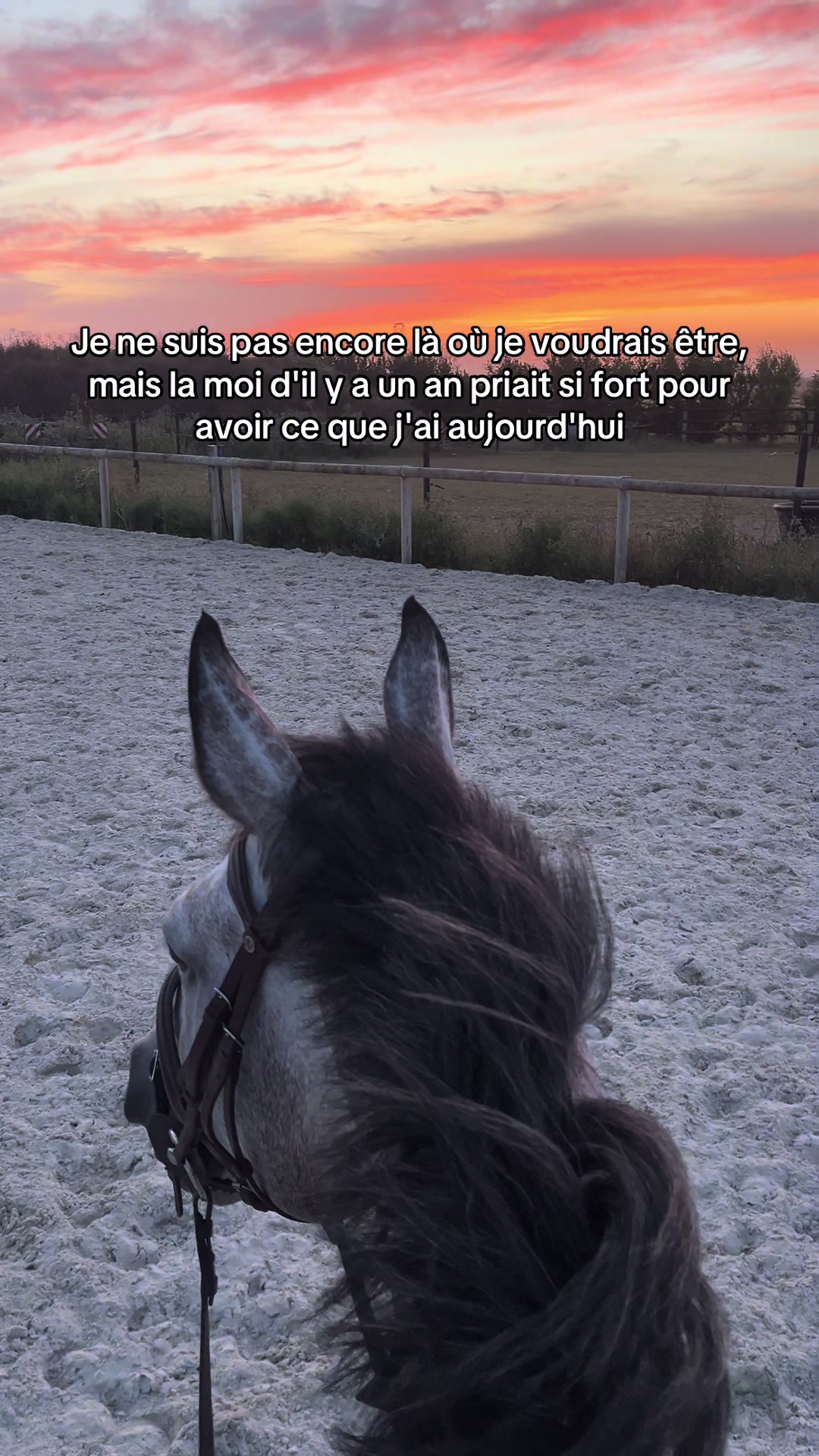 @juliette