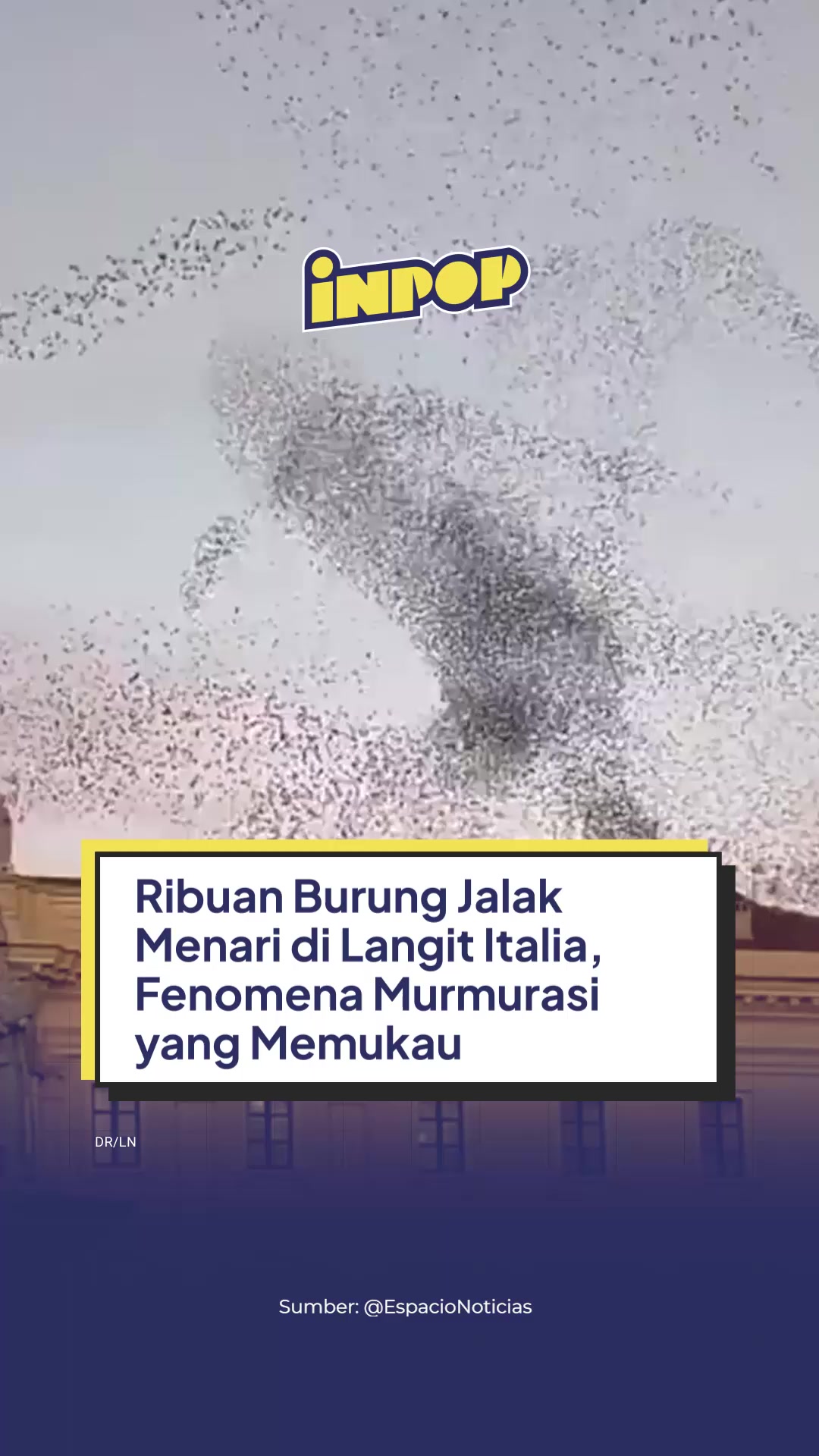 @inpopmedia