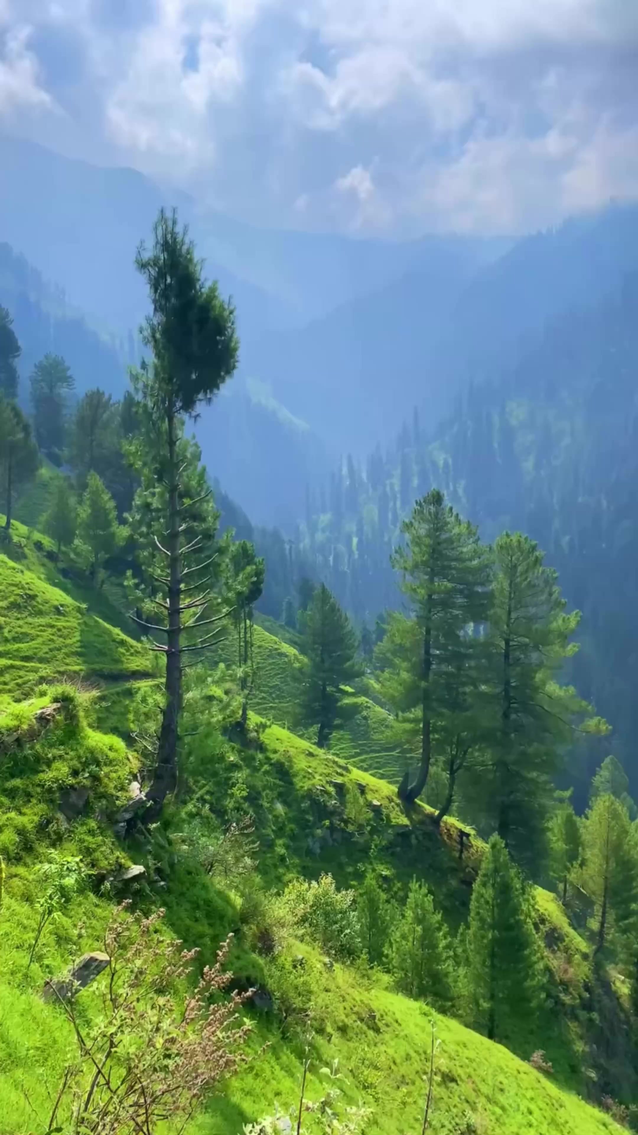 @World 🌍 beauty