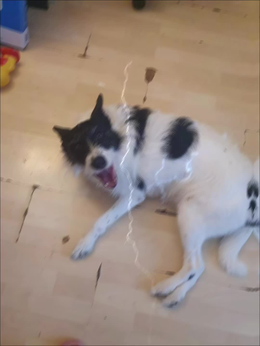 @Ი𐑼
