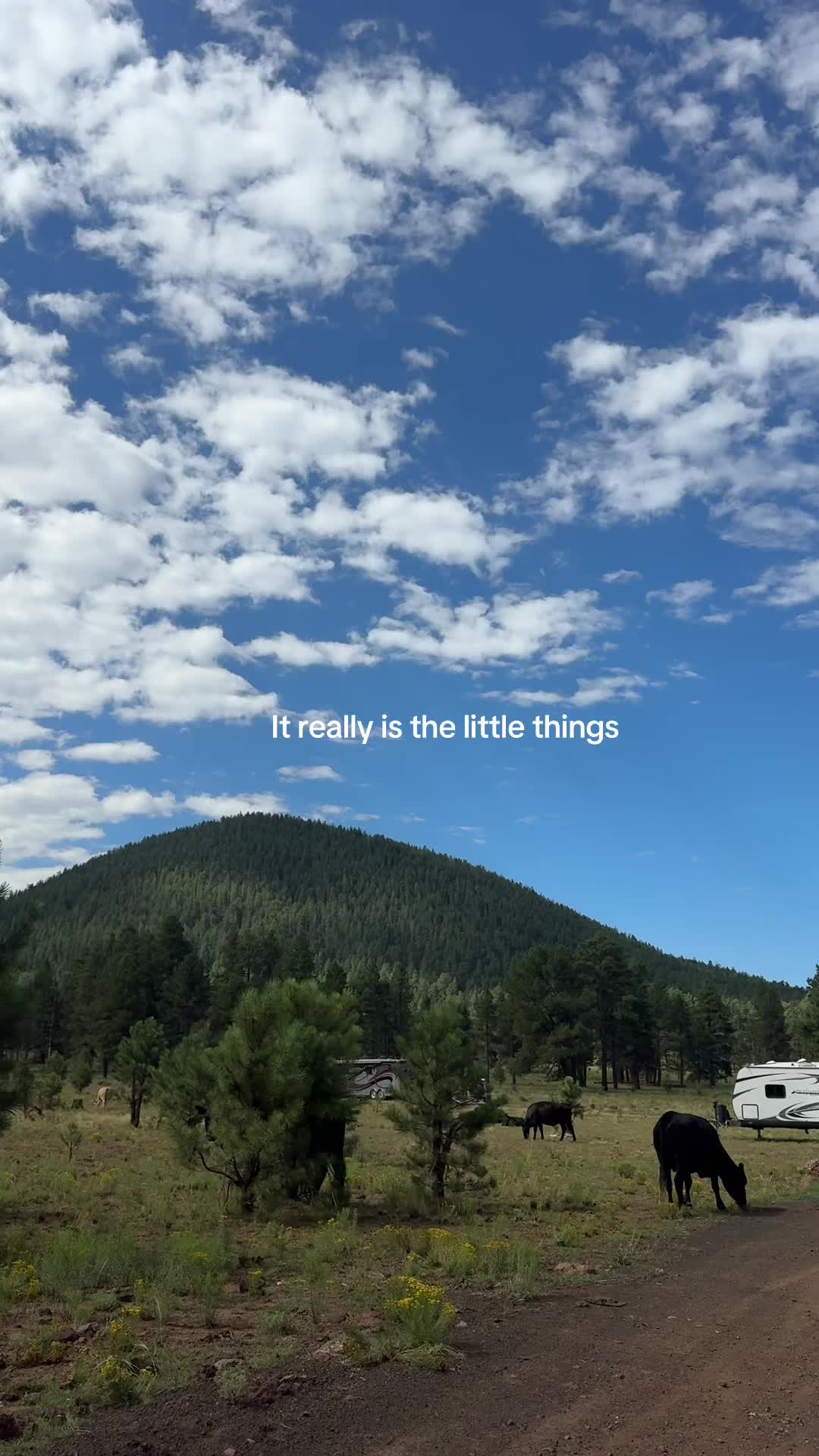 @Hannah Mac | Travel & Life