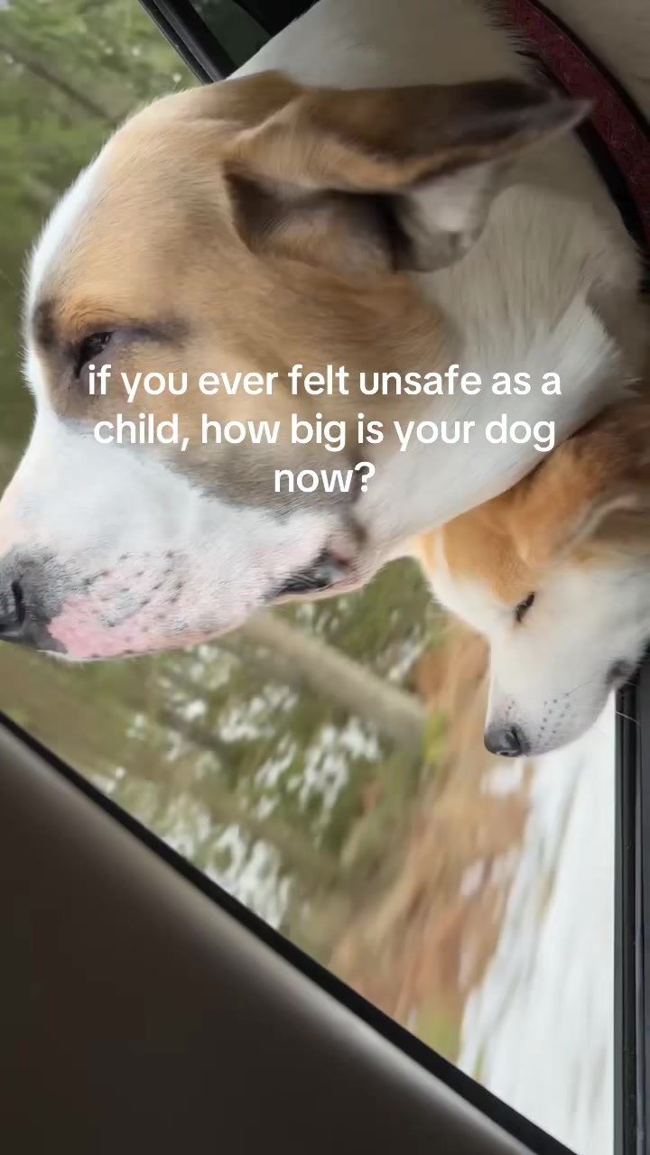 @julipuff8