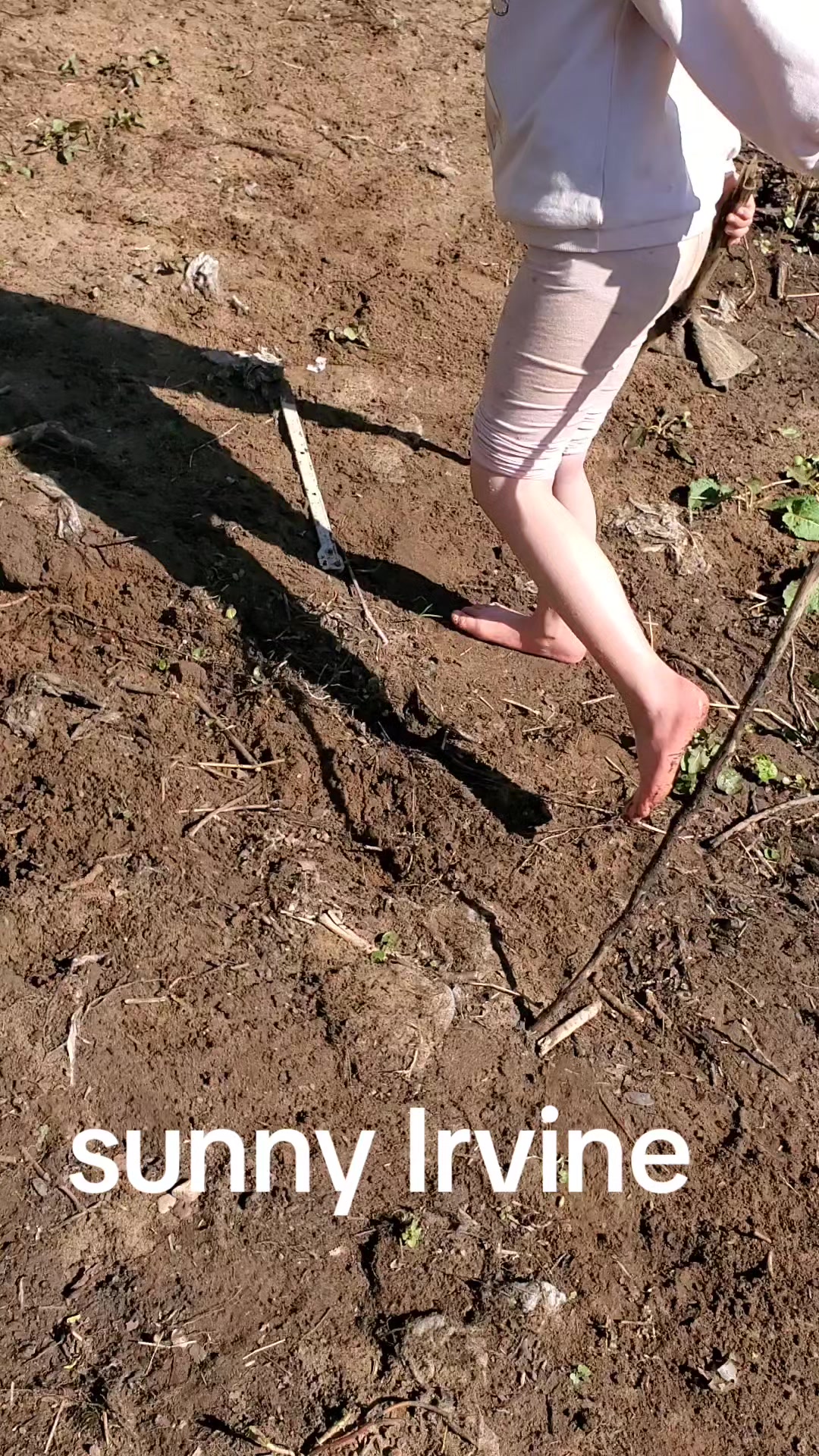 @windowman7