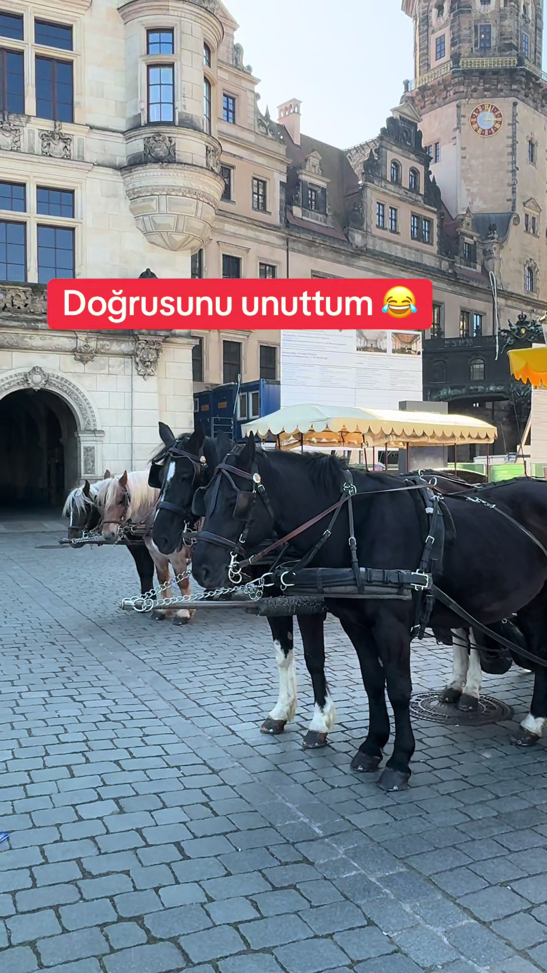 @berceste.ae 🇩🇪