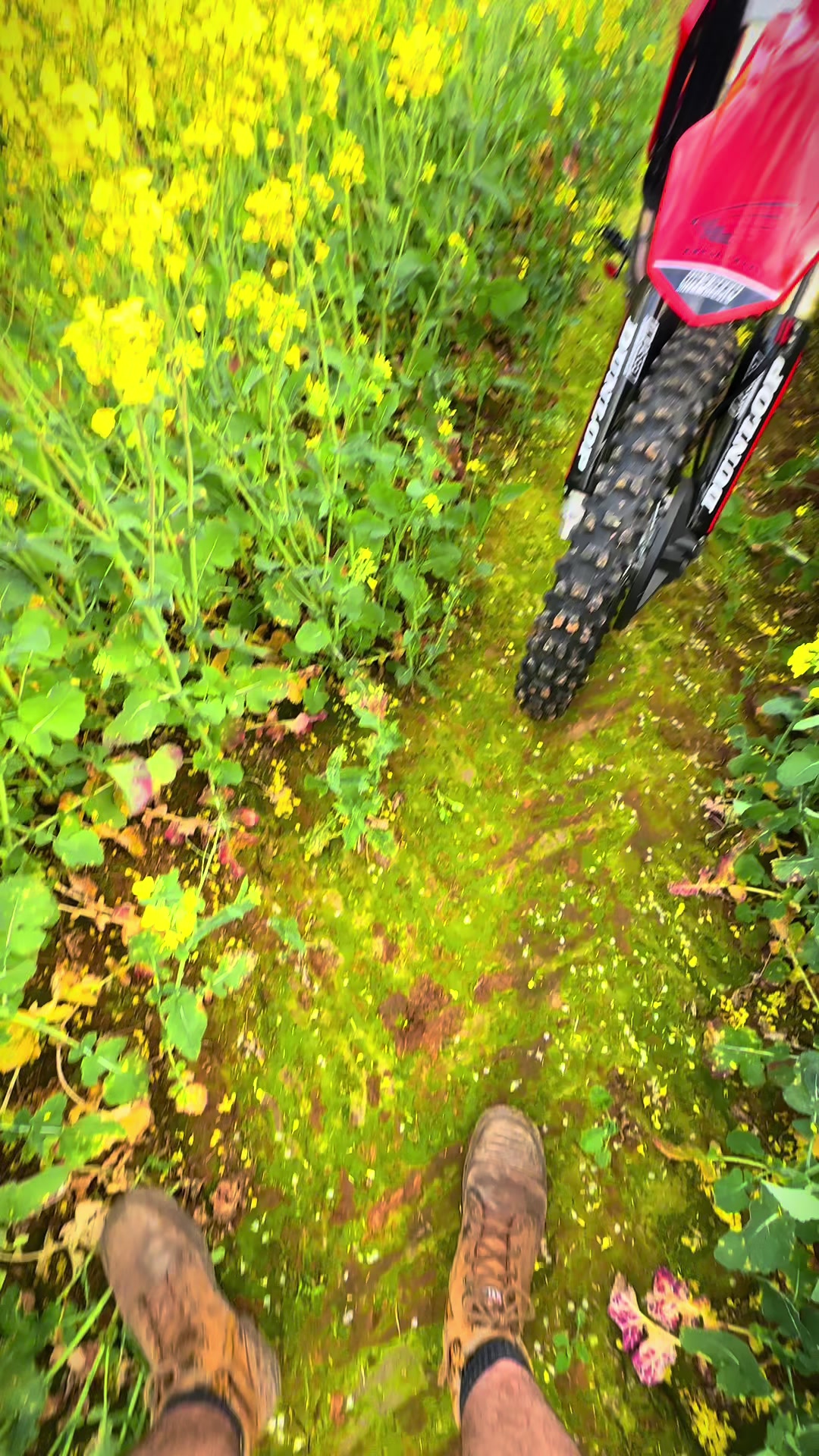 @Jacks450r