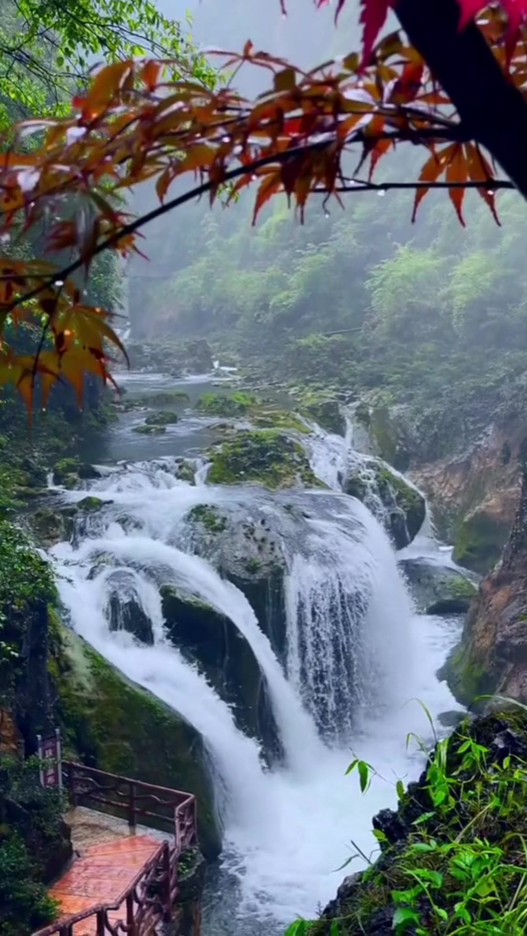 @shuhel257