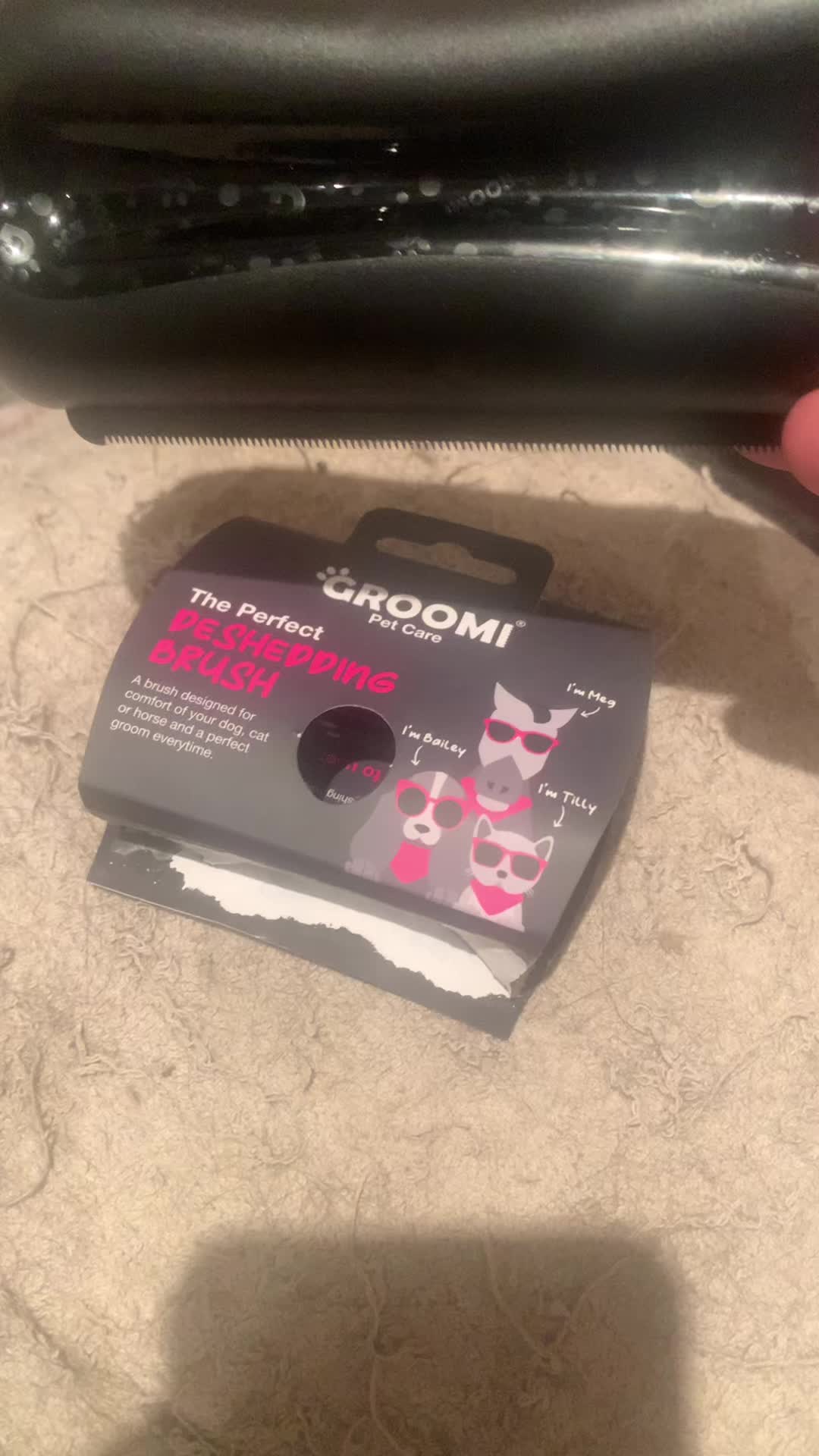 @Miracle Kittens
