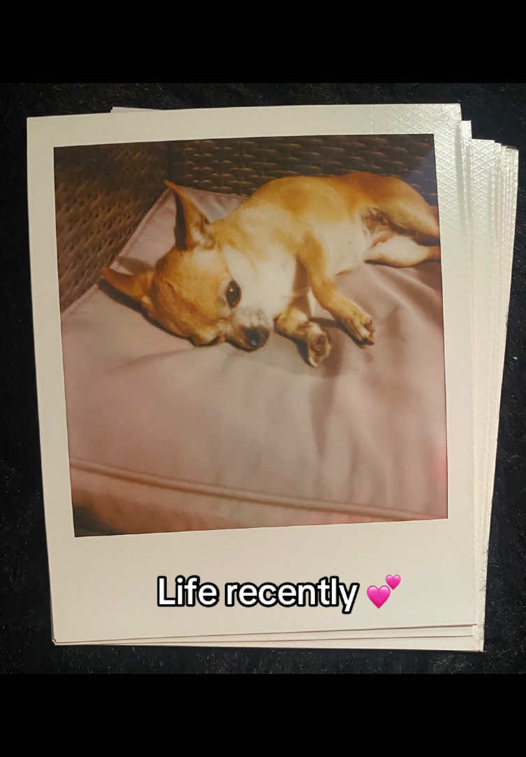@𝖑͟𝖎͟𝖙͟𝖙͟𝖑͟𝖊͟ 𝖗͟𝖊͟𝖉͟❤️