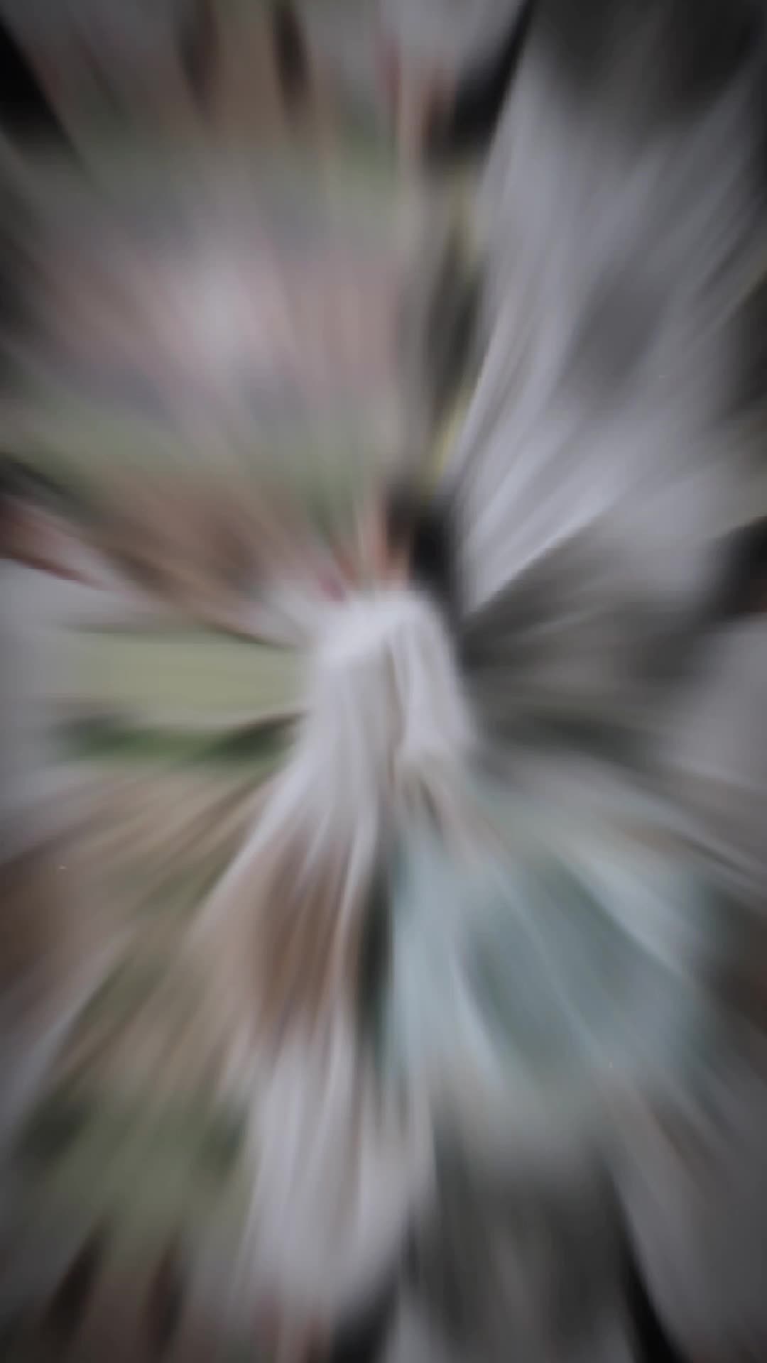 @【ʸᵗ٭TÂM٭心🪽】