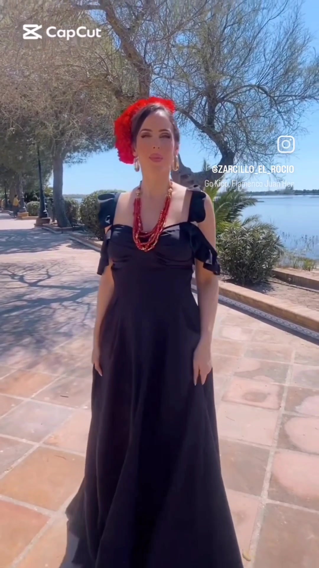 @Zarcillo el Rocío