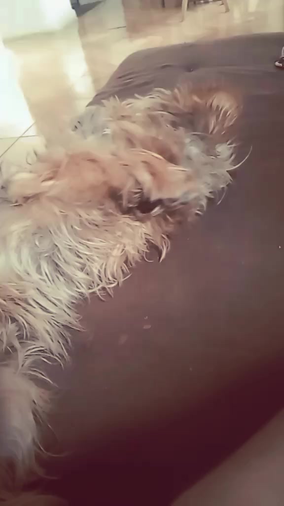 @โ. ๐ หfioriโห๐๐หโ