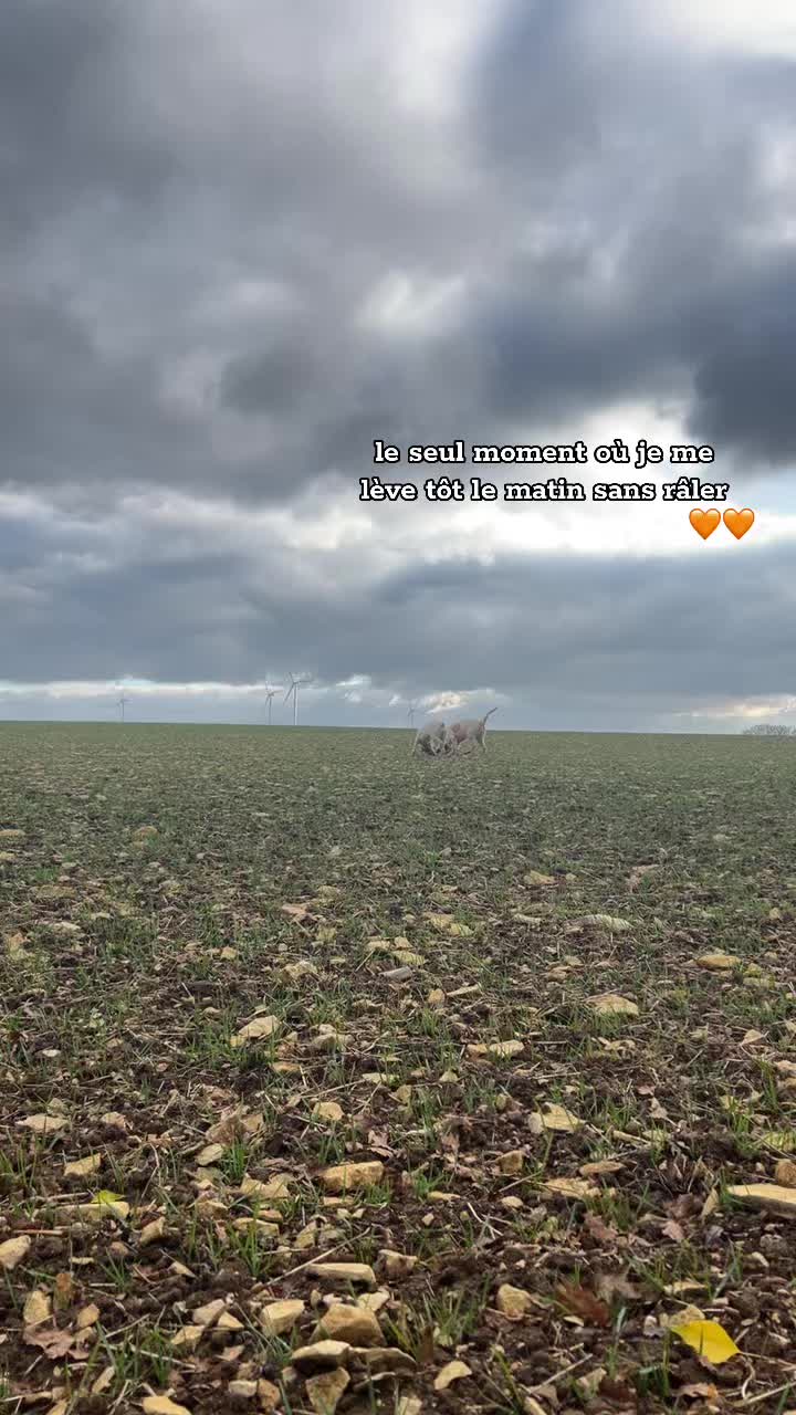 @chasse_89_