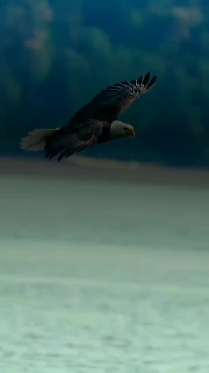 @منوعات