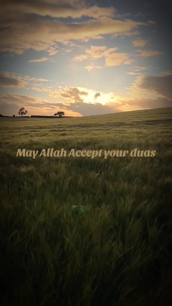 @💫