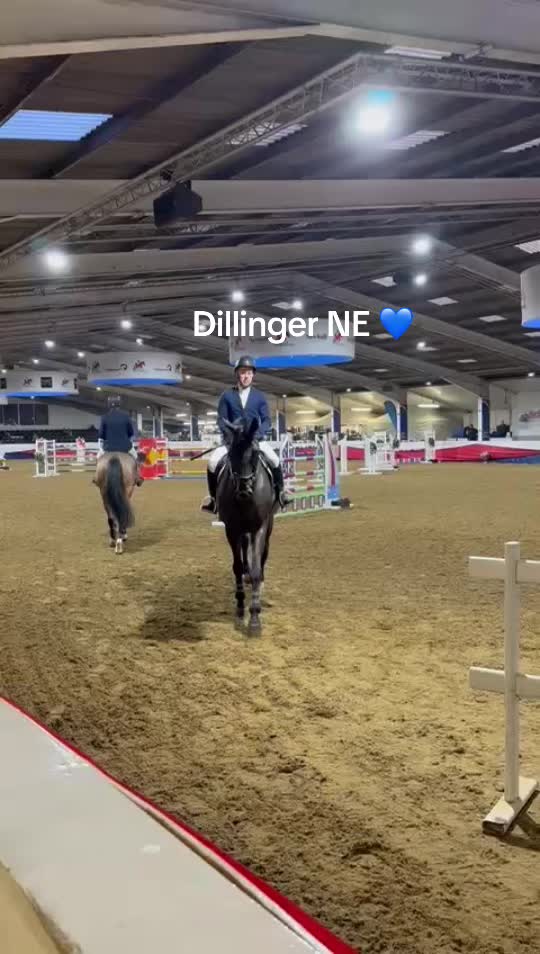 @markedwardsshowjumping