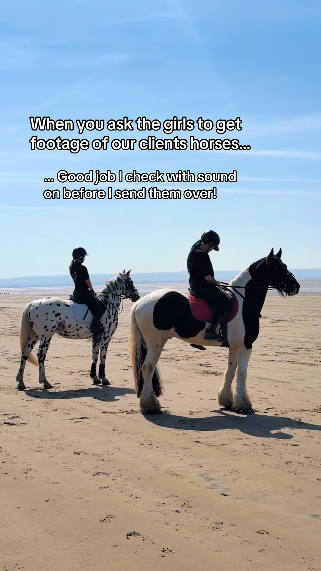 @LW_Equestrian