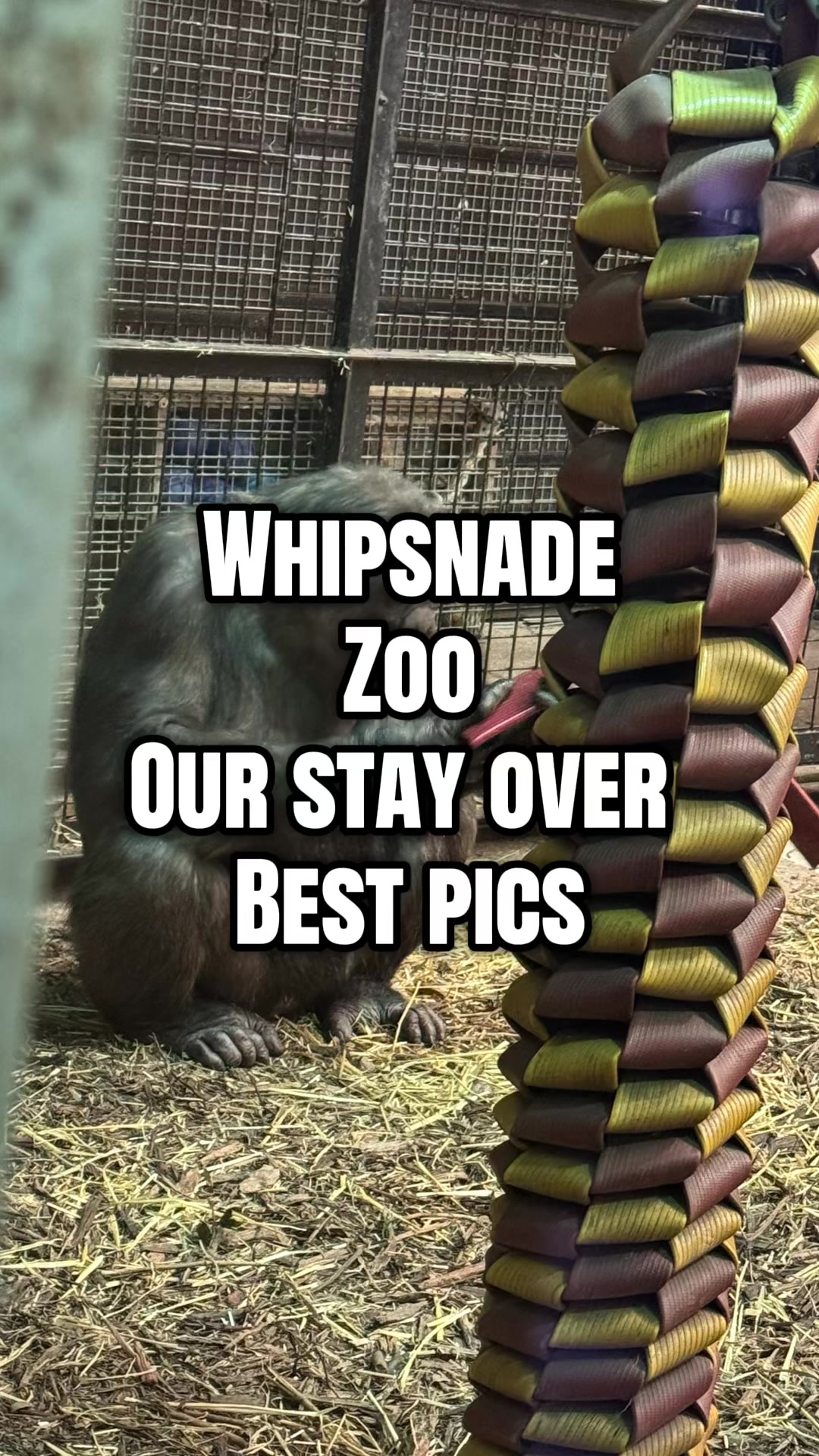 @Wilcox_homely_life