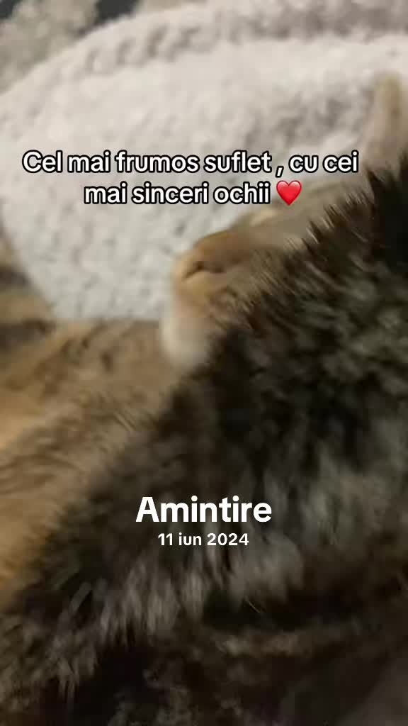@Ionuthp