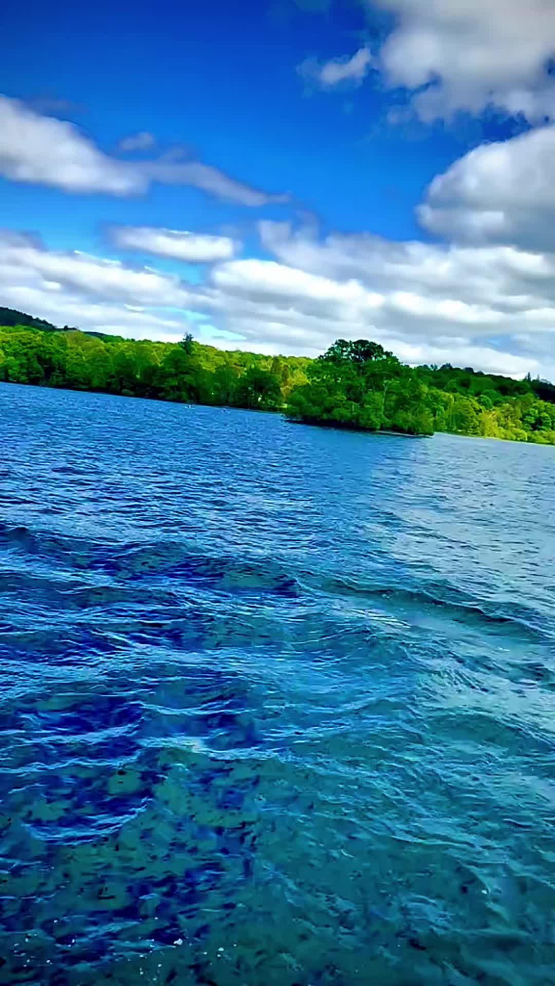@Nature lover