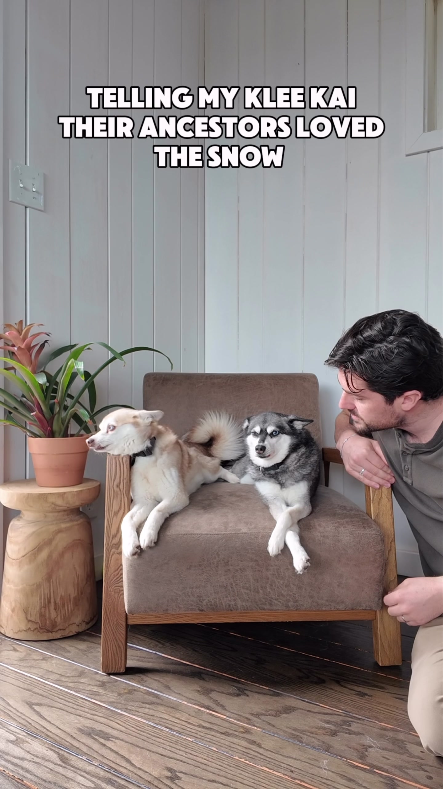 @lifewithkleekai