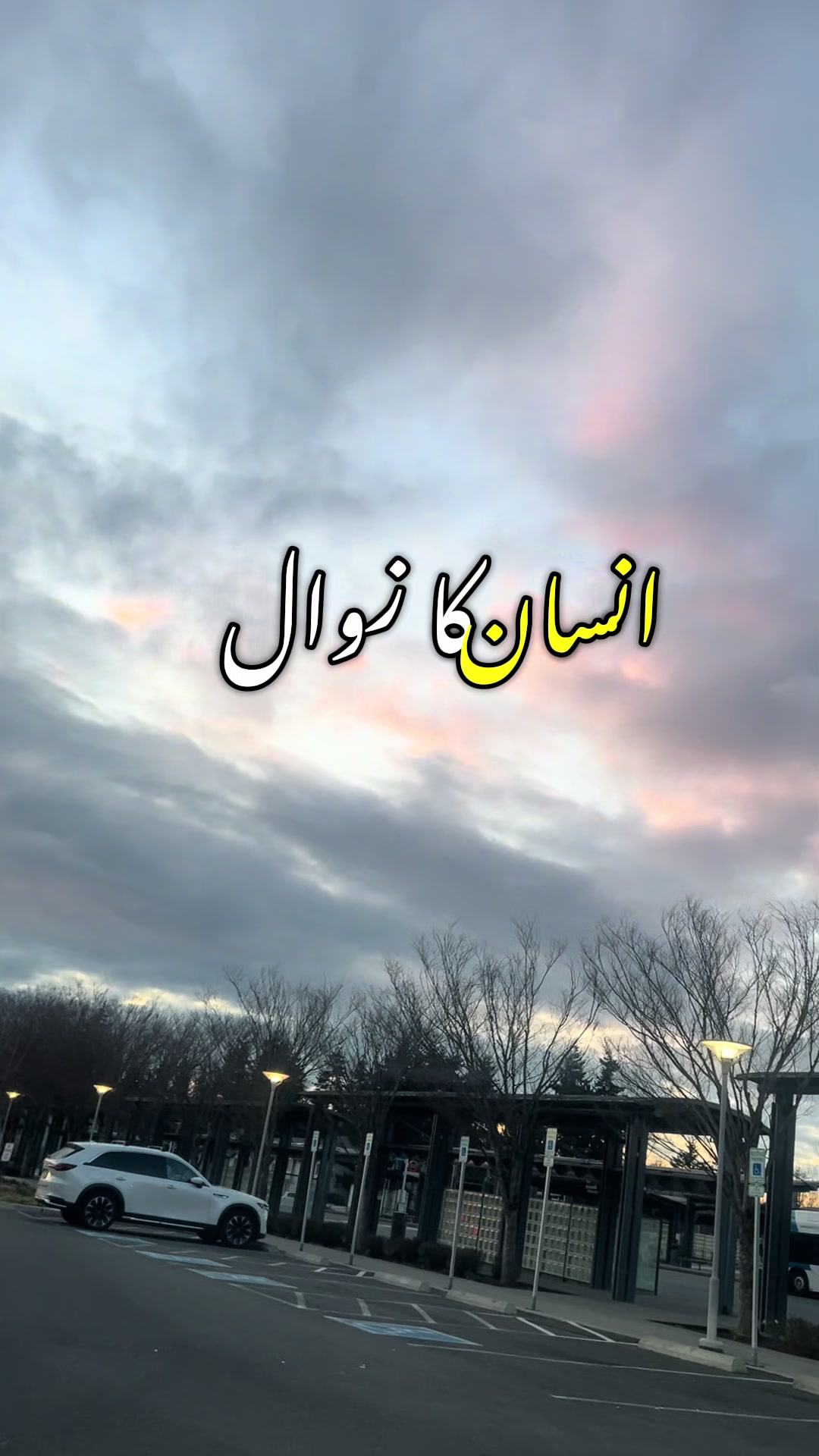 @Syeda-G 007